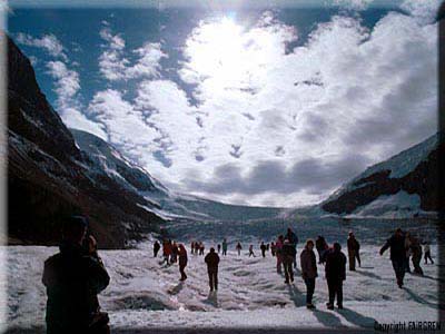 Athabasca Glacier